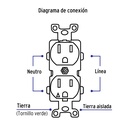 CODO-TAS+FC3.jpg