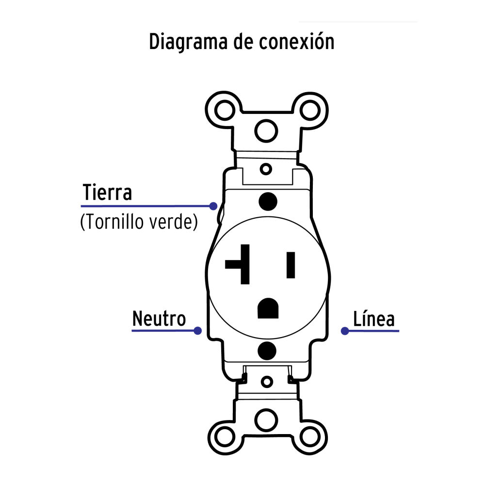 COSE-MSB+FC3.jpg
