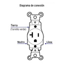 COSE-MSB+FC3.jpg