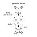 COSE-CHSB+FC3.jpg