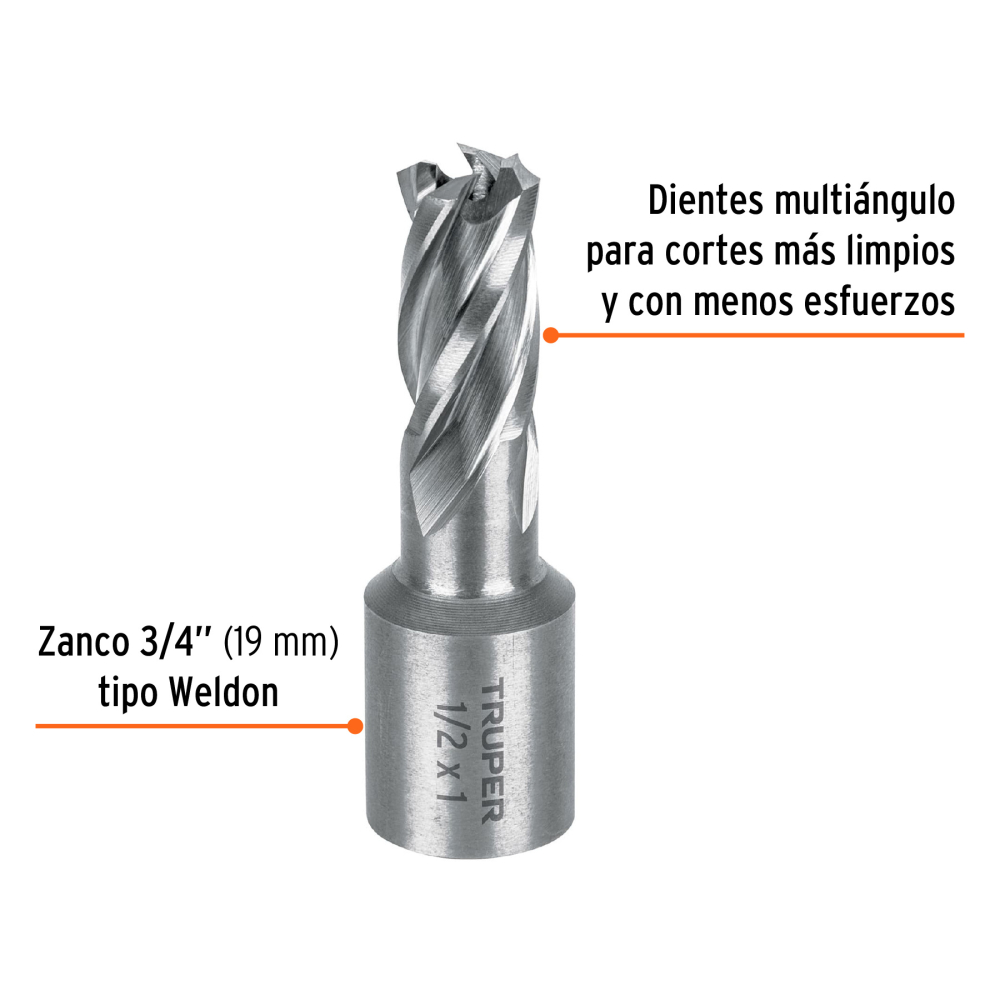 CTAMA-1-2+FC1.jpg