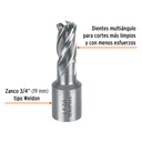 CTAMA-1-2+FC1.jpg