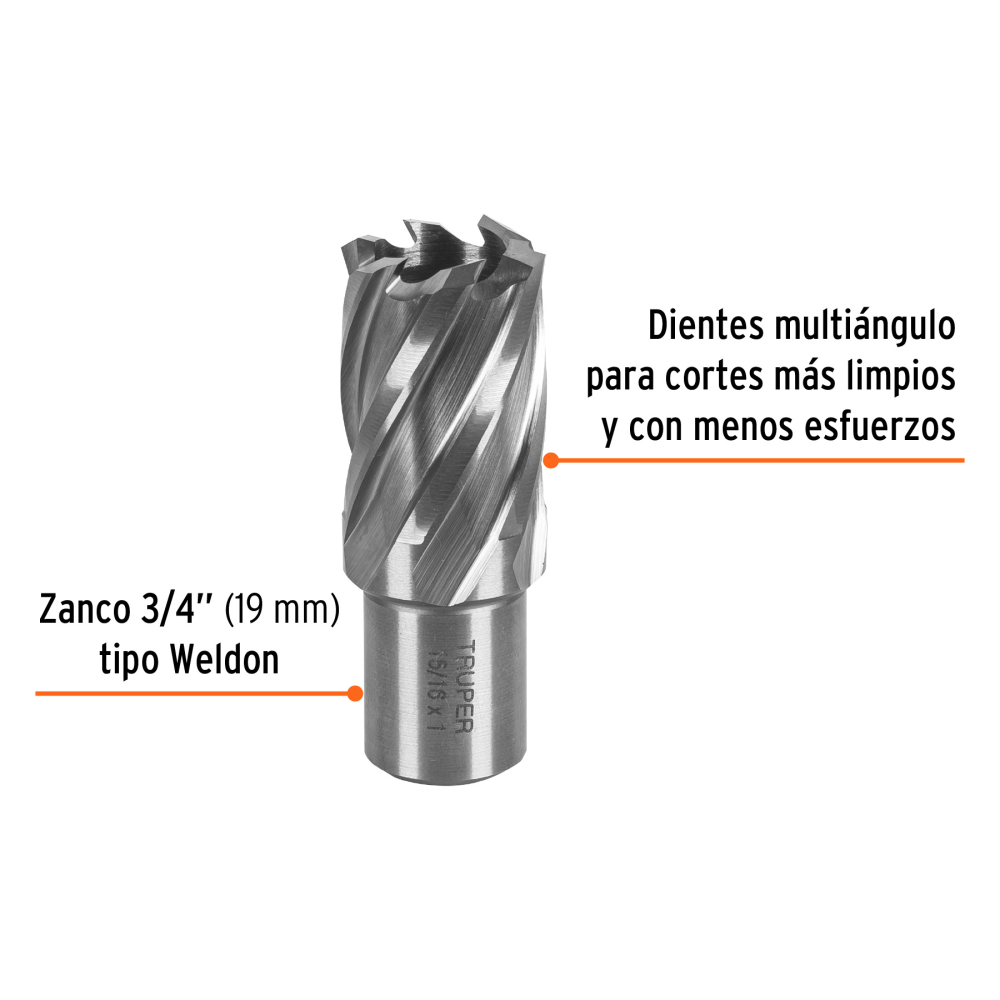 CTAMA-15-16+FC1.jpg