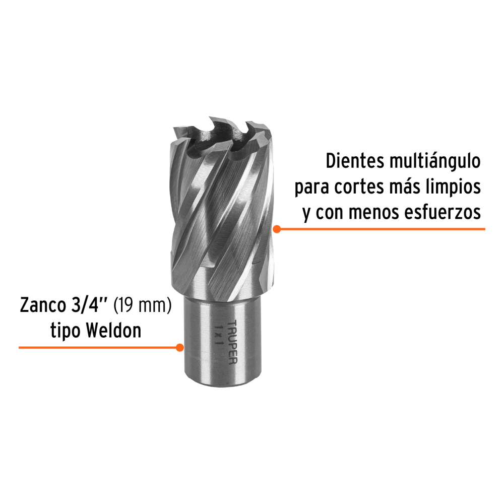 CTAMA-1+FC1.jpg