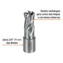 CTAMA-5-8+FC1.jpg