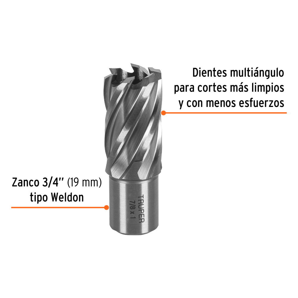 CTAMA-7-8+FC1.jpg
