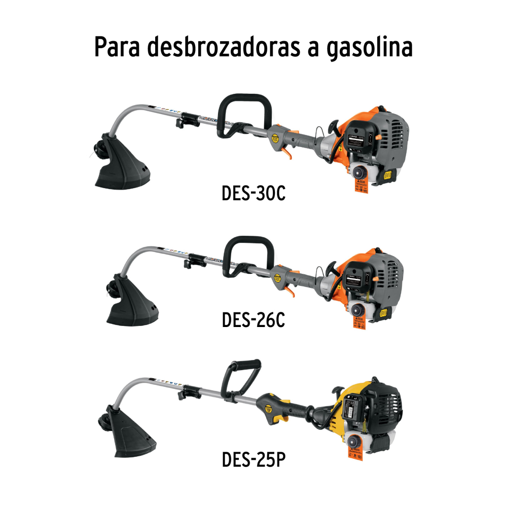 TAP-GRUPO-01+D1.jpg