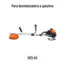 CU-TRIX+D1.jpg