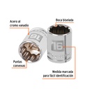 D-3816-M+FC1.jpg