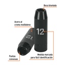 D-7312-ML+FC1.jpg