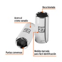 D-1227-ML+FC1.jpg