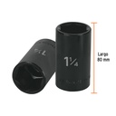 D-7340-HL+FC2.jpg