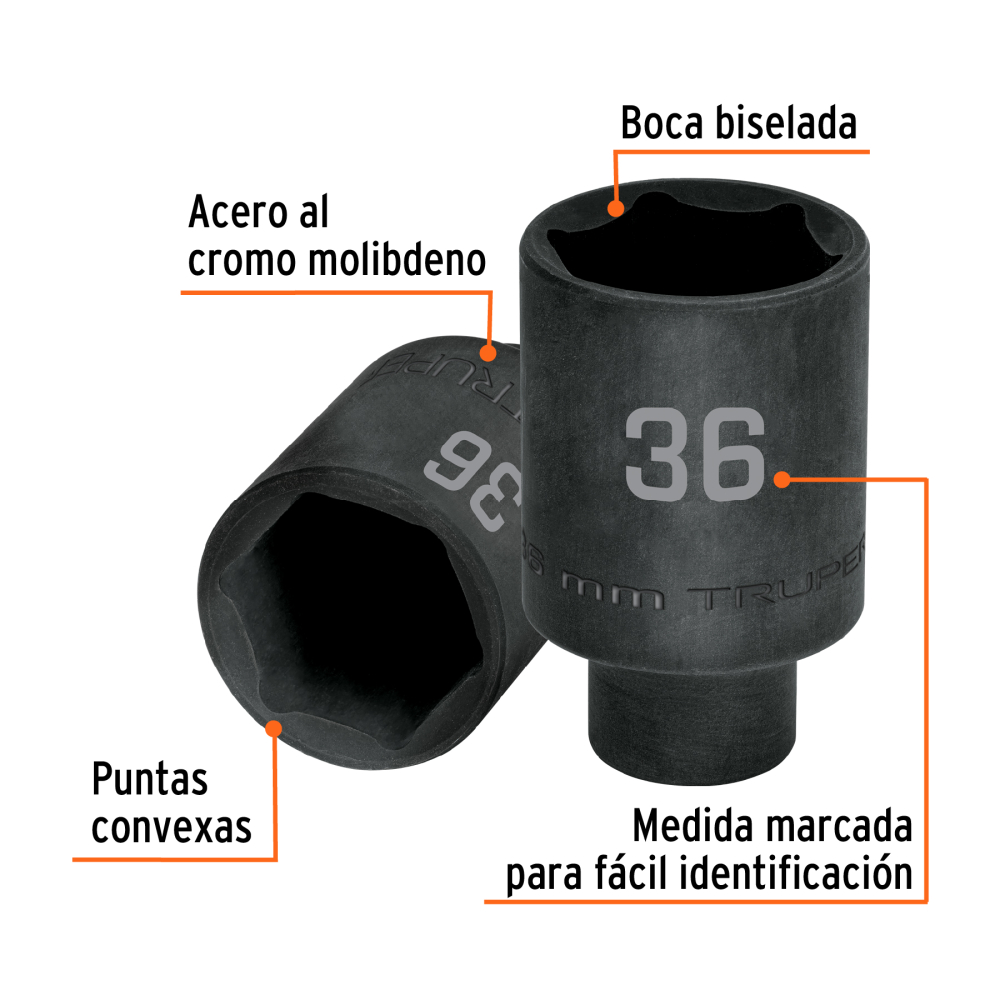 D-7336-ML+FC1.jpg