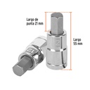 D-1241-12M+FC2.jpg