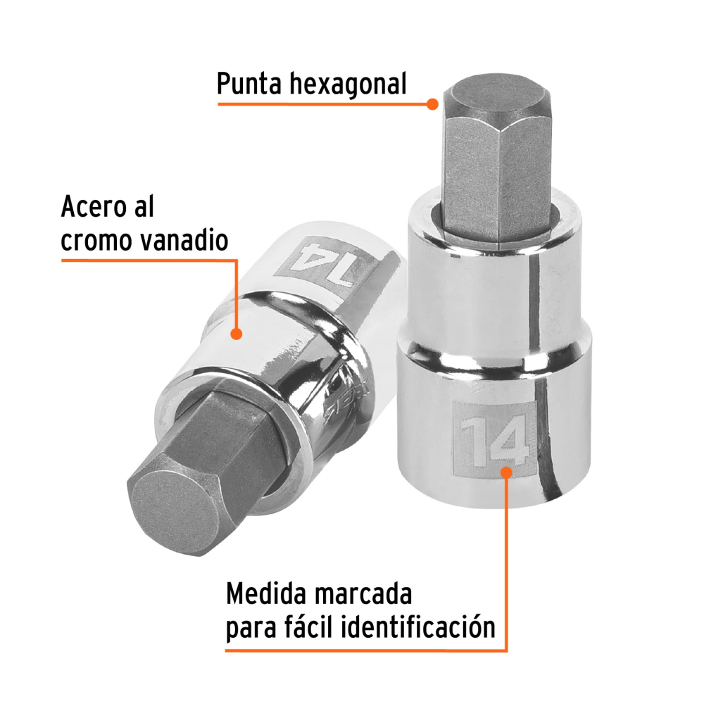 D-1241-14M+FC1.jpg