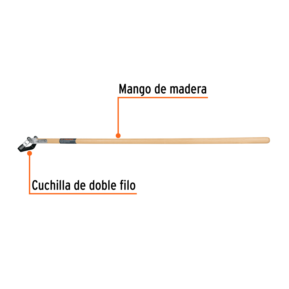 ACT-HOE+FC1.jpg