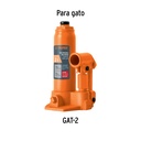 EMP-GAT-2+D1.jpg