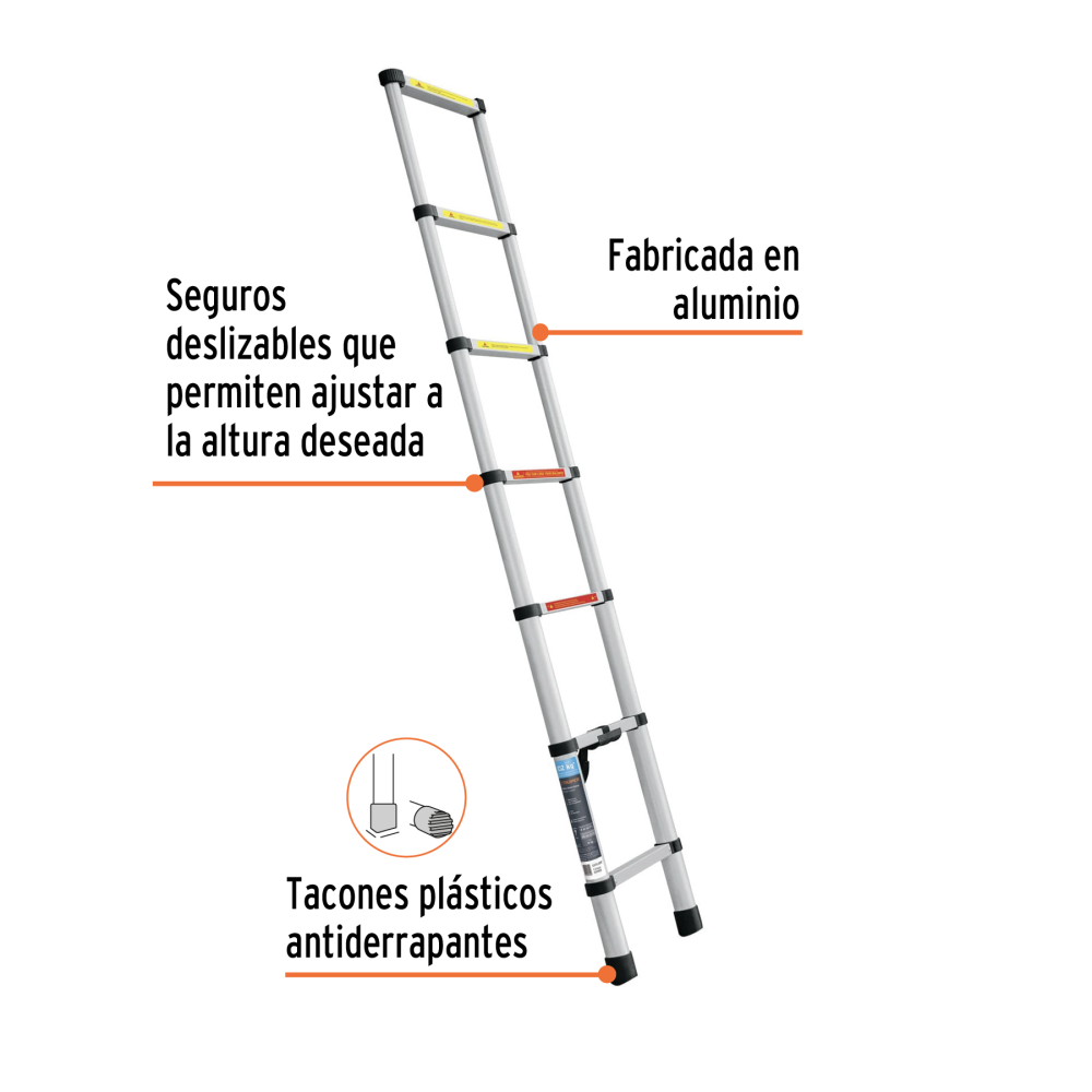 ESTE-213+FC1.jpg