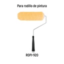 R-ROPI-920X+D1.jpg