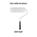 R-ROPI-920P+D1.jpg