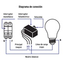 SEFO-LSI+D2.jpg
