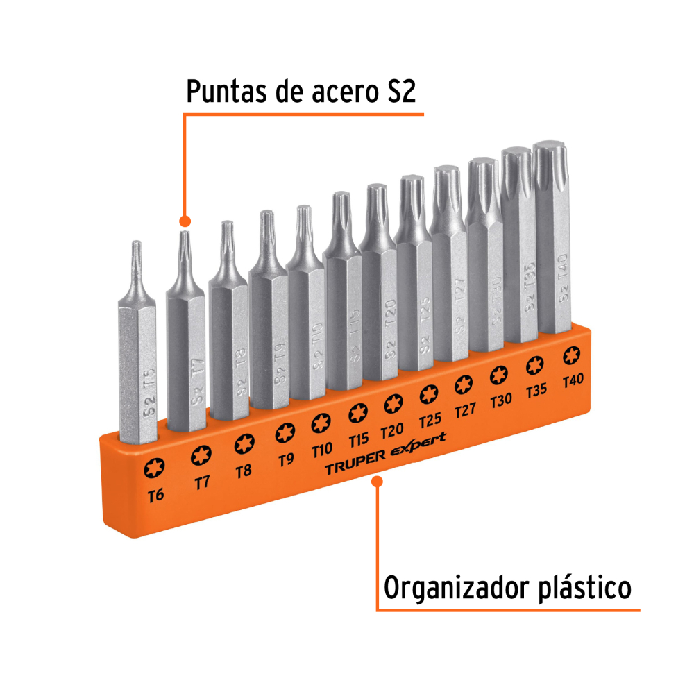 P12-2T+FC1.jpg