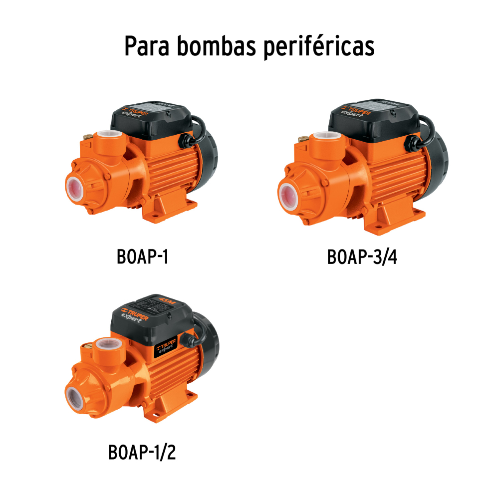 TORD-BOAP+D1.jpg