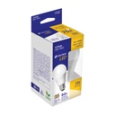 LED-75CC+E1.jpg