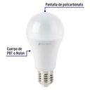 LED-100C+FC1.jpg
