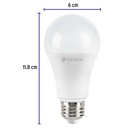 LED-100F+FC2.jpg