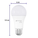 LED-100CB+FC2.jpg
