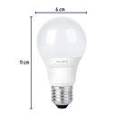 LED-30F+FC2.jpg