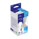 LED-60FC+E1.jpg