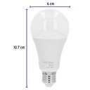 LED-125FB+FC2.jpg