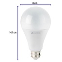 LED-125C+FC2.jpg