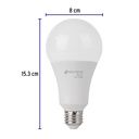LED-150FB+FC2.jpg