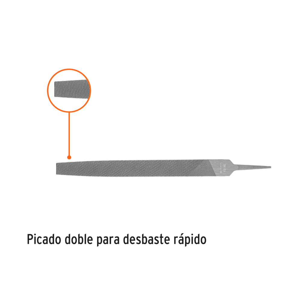 LPB-12+FC1.jpg