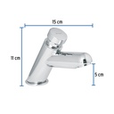 LLI-10+FC2.jpg