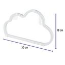 LUZ-NN+FC2.jpg