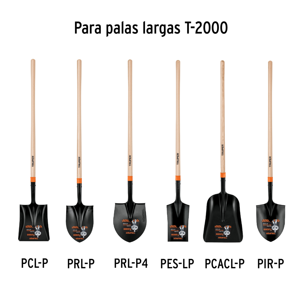 MG-PL-P+D1.jpg