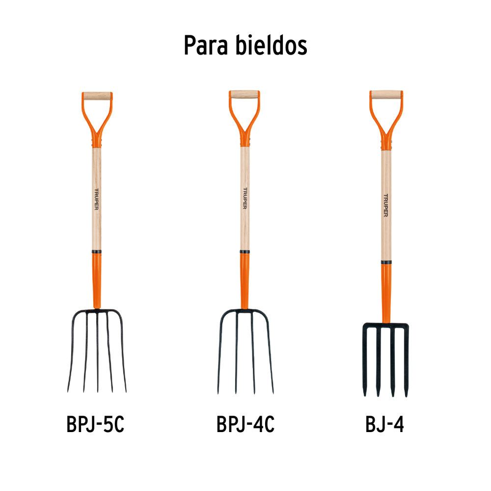 MG-BJY+D1.jpg