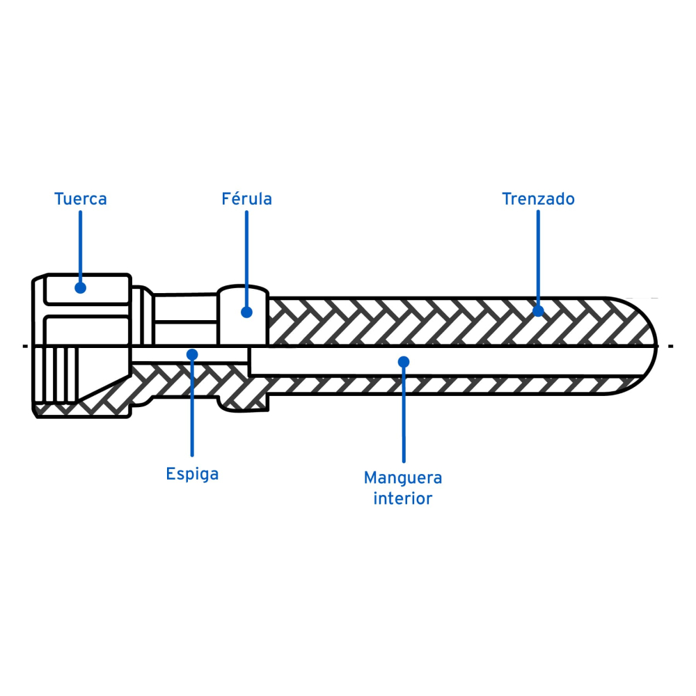 MGAN-10+D2.jpg