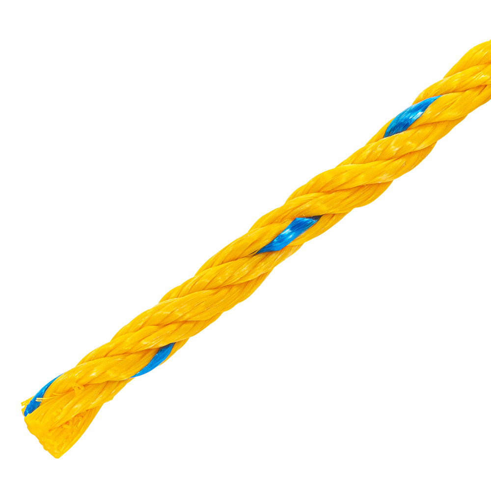 CUE-10M+D1.jpg