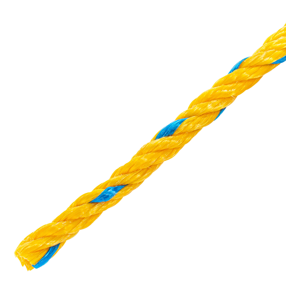 CUE-08M+D1.jpg