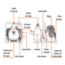 MOTB-1+FC1.jpg