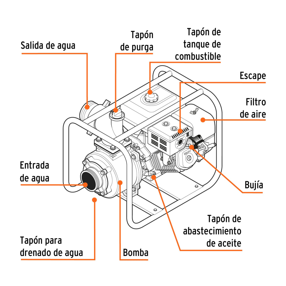 MOTB-3+FC1.jpg