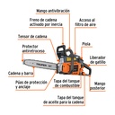 MOT-3814+FC1.jpg