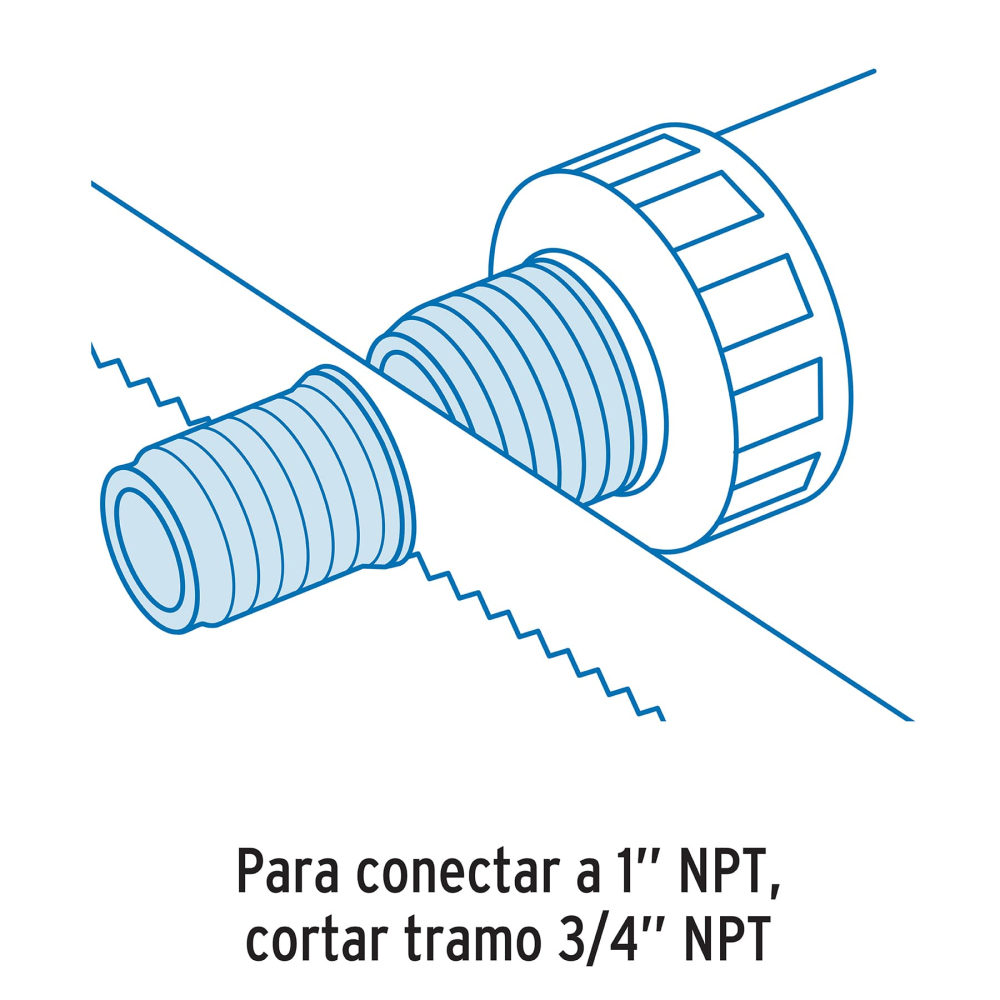 ATIN-001+FC1.jpg