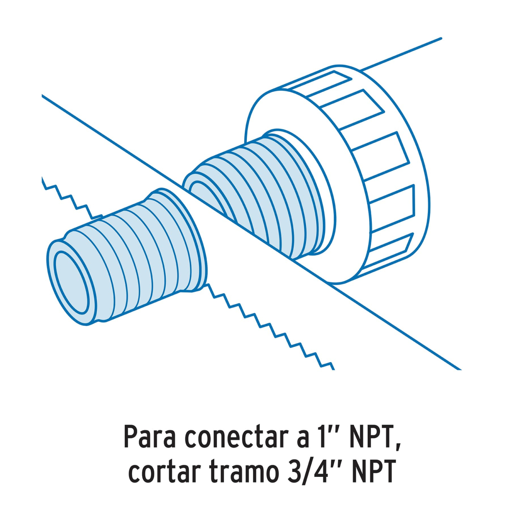 ATIN-003+FC1.jpg