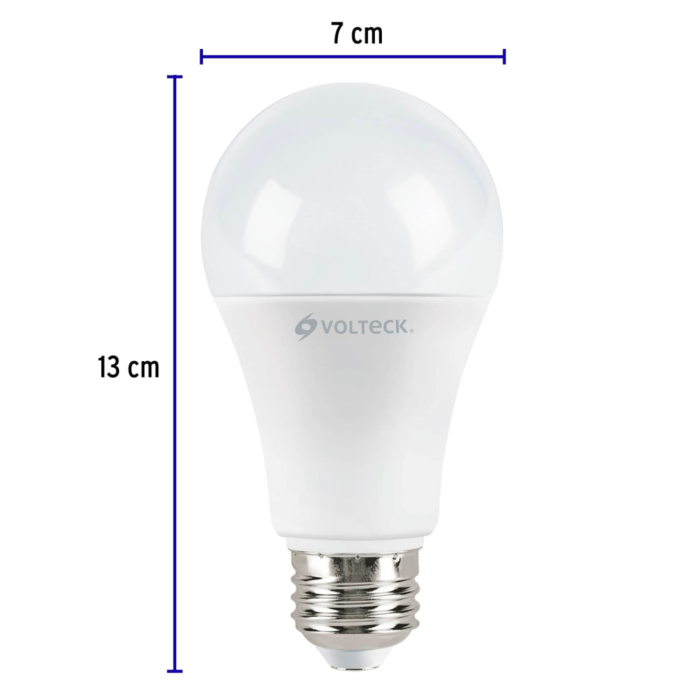 LED-100FX4+FC2.jpg